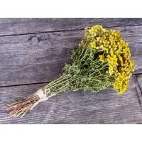 пучок пижмы "mr.venikoff"