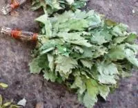 веник "барский" из канадского дуба в упаковке, бацькина баня